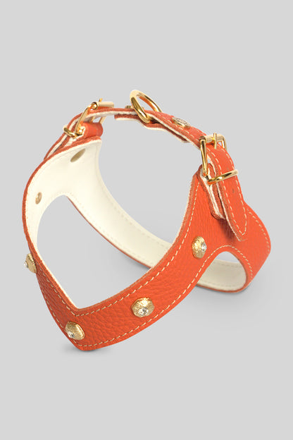 Diamante Coral Harness