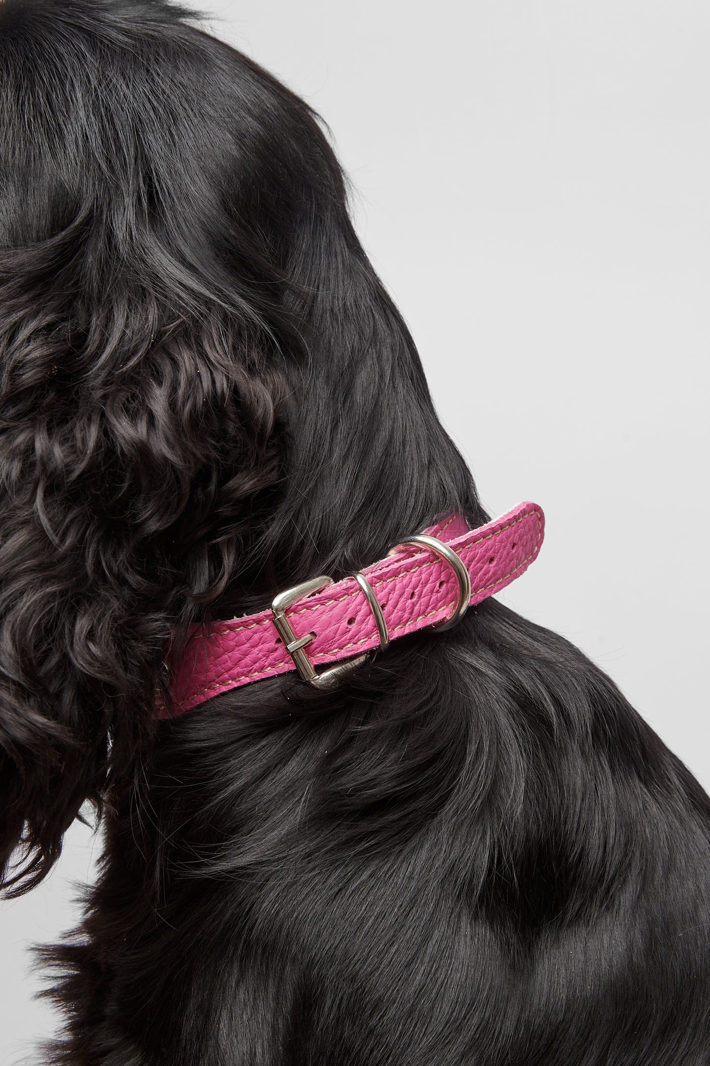 Pink Leather Collar