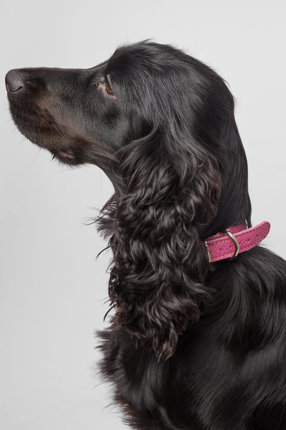 Pink Leather Collar