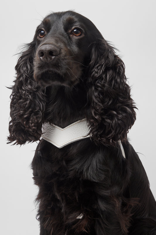 Eleganza White Harness