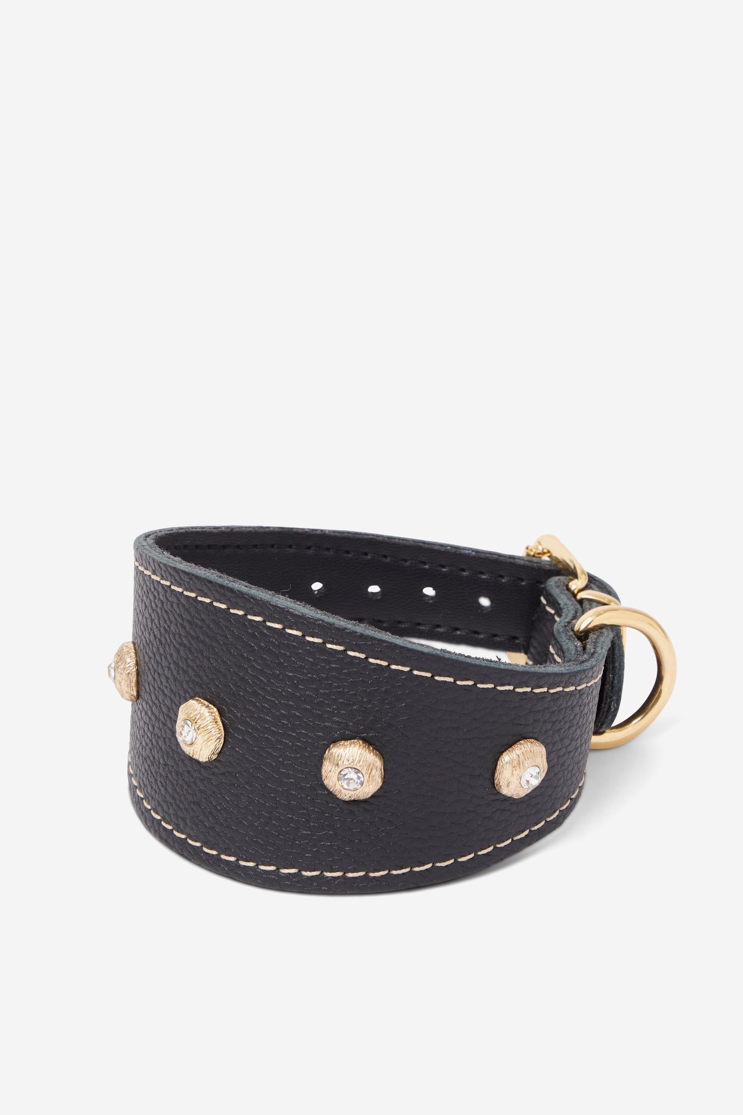 il Levriero Black Collar