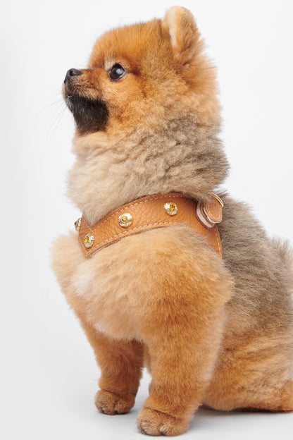 Diamante Tan Harness