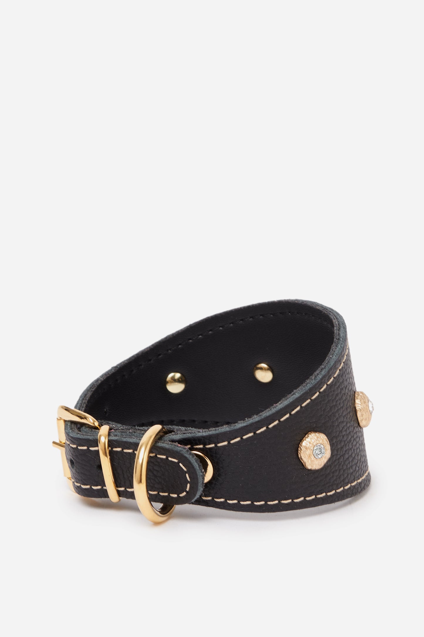 il Levriero Black Collar