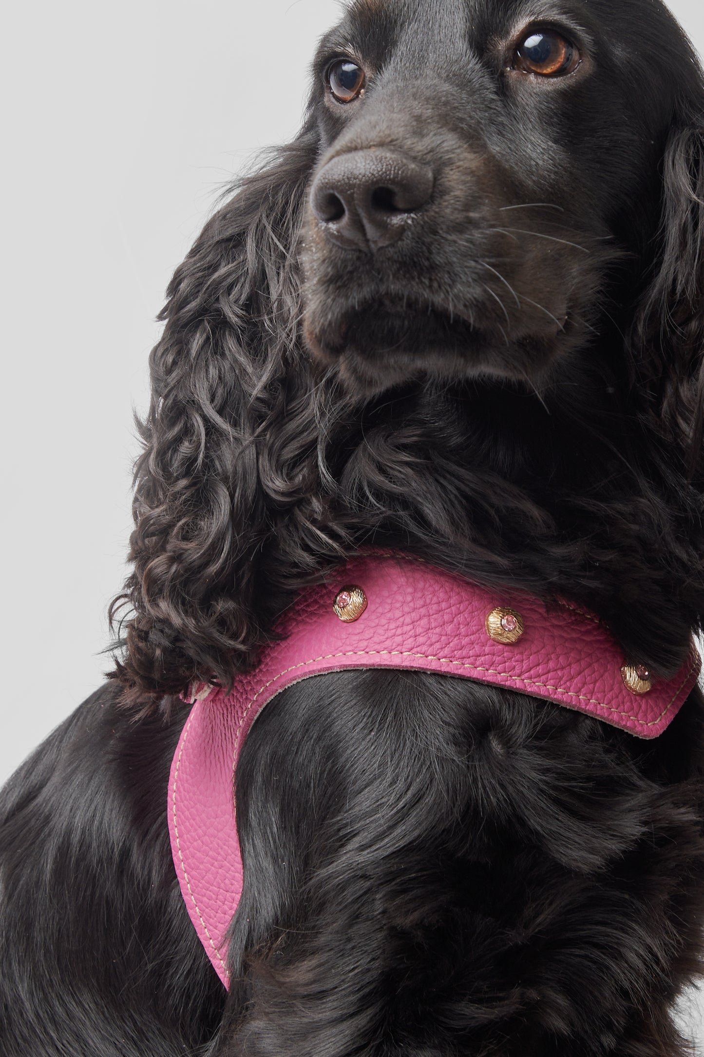 Diamante Pink Harness