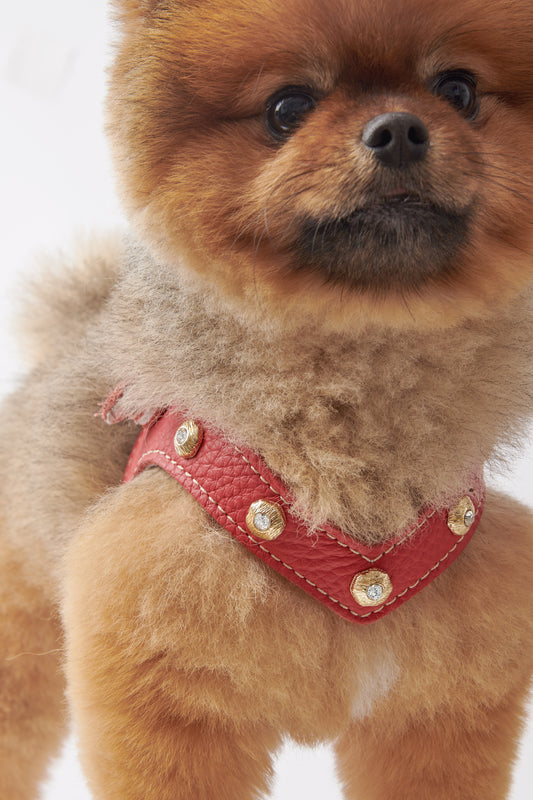 Diamante Red Harness