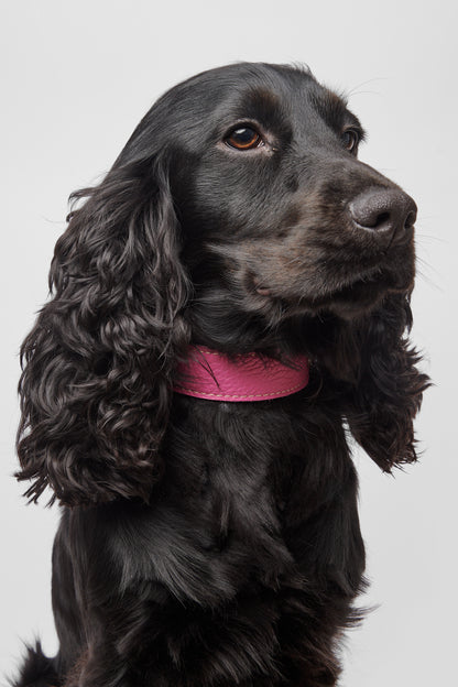 Pink Leather Collar