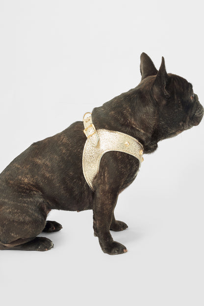 Oro Harness